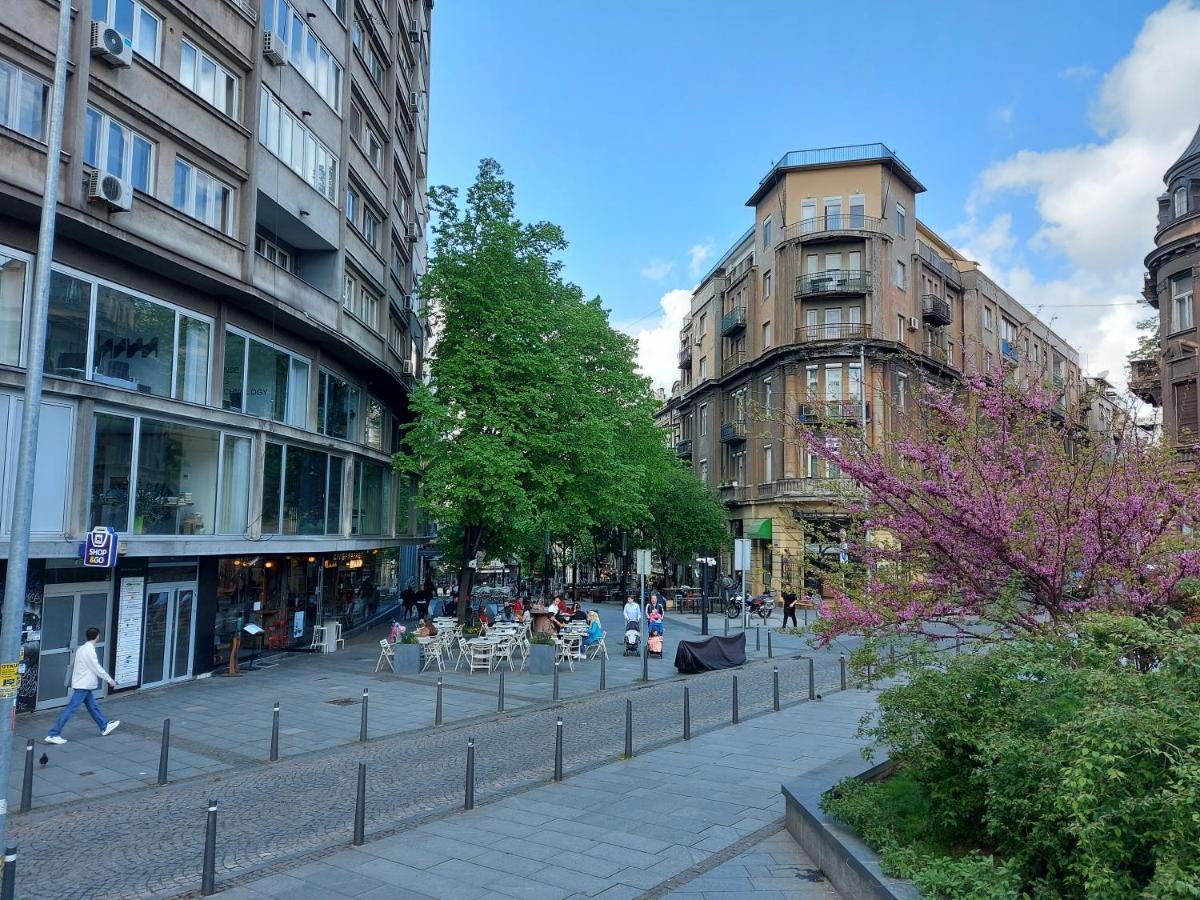 Lotta Apartment Belgrad Exterior foto